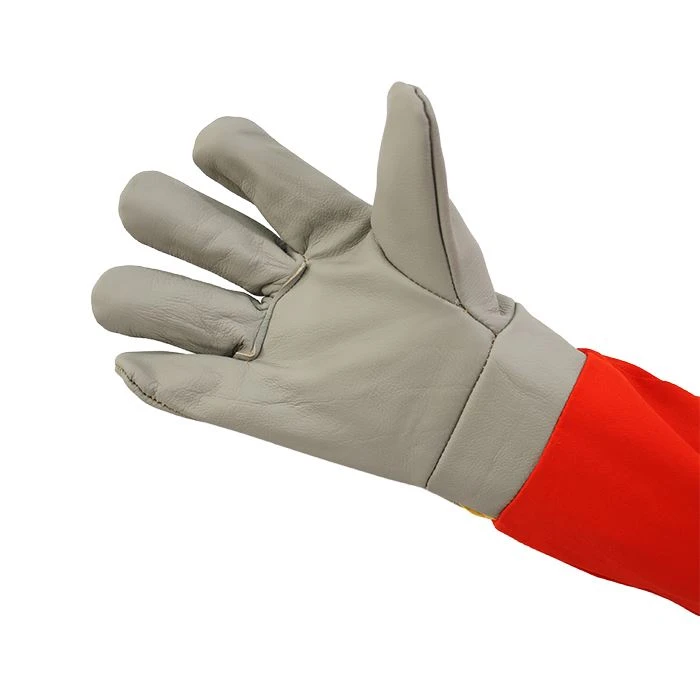Forest Fireproof Gloves best